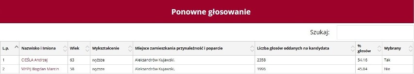 Wybory Samorządowe 2018. Znamy wyniki wyborów. PKW na swojej...