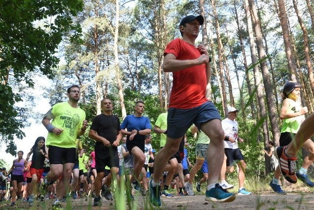 Parkrun to jeden z najpopularniejszych cyklów dla biegaczy w Toruniu. W sobotę 27 czerwca pogoda była idealna, aby pobiegać w lesie. Zobaczcie zdjęcia z 248 edycji toruńskiego Parkrunu >>>> Aby przejść do galerii, przesuń zdjęcie gestem lub naciśnij strzałkę w prawo.