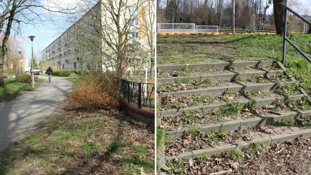 - Park przy stadionie ABC mógłby być takim ładnym zakątkiem, a wygląda okropnie – mówi nasza Czytelniczka.