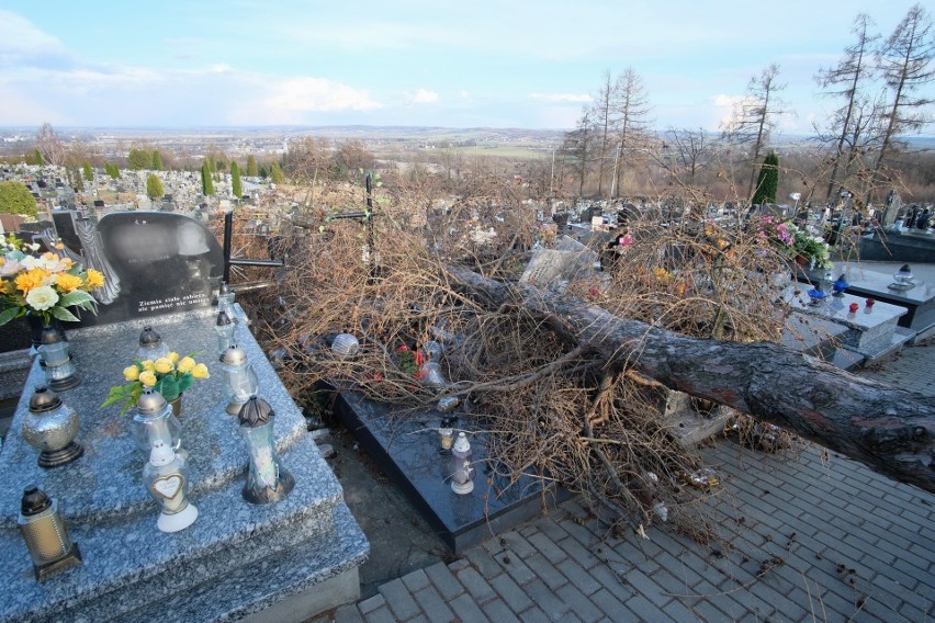 W wyniku wichury, która przeszła nad Przemyślem, na...