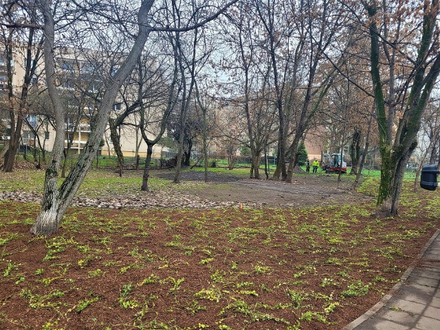 Ogród Ciszy i Ptasi Skwer w Parku Młynówka