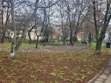 Trwają prace w Parku Młynówka w Krakowie. Powstaje tam Ogród Ciszy i Ptasi Skwer