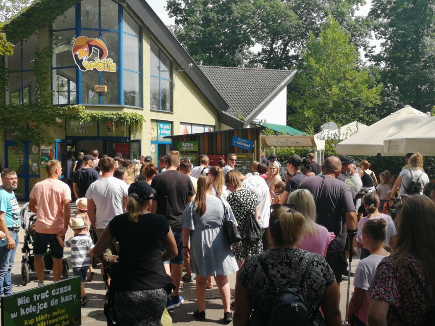 Kolejka do opolskiego zoo sięgnęła ponad setki osób, dlatego...