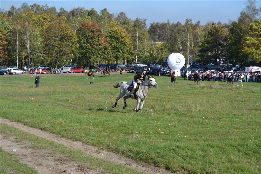 Hubertus 2014. Jeźdźcy z całego regionu opanowali zamkowe...