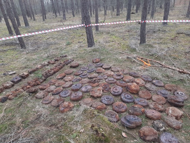 Ponad 4 tys. sztuk bomb lotniczych, min przeciwpancernych i przeciwpiechotnych oraz zapalników znaleziono w okolicach Wołowa.