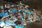 Od 1 grudnia segregacja śmieci w Łodzi obowiązkowa. Jak segregować śmieci? Podwyżka opłat za śmieci i kary za złe segregowanie