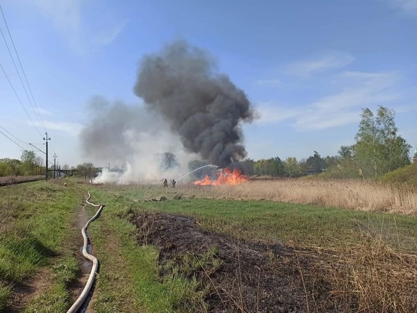 Pożar trzcinowiska w Białogardzie