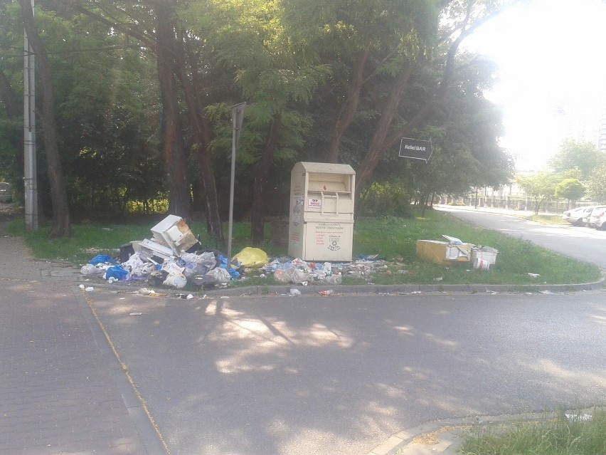 DZ24: Śmieci przy ulicy Czecha w Katowicach [ZDJĘCIA]