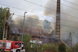 Zbąszyń: Pożar w okolicach dworca PKP - spłonęła stara cegielnia. Zobacz zdjęcia