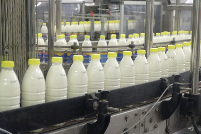 Mleko i masło są chronione już od 30 latDefinicja mleka została okreslona 30 lat temu