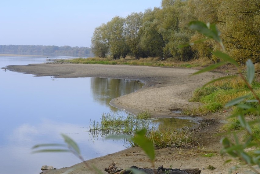 Most tymczasowy na Wiśle w Toruniu będzie służył nam podczas...