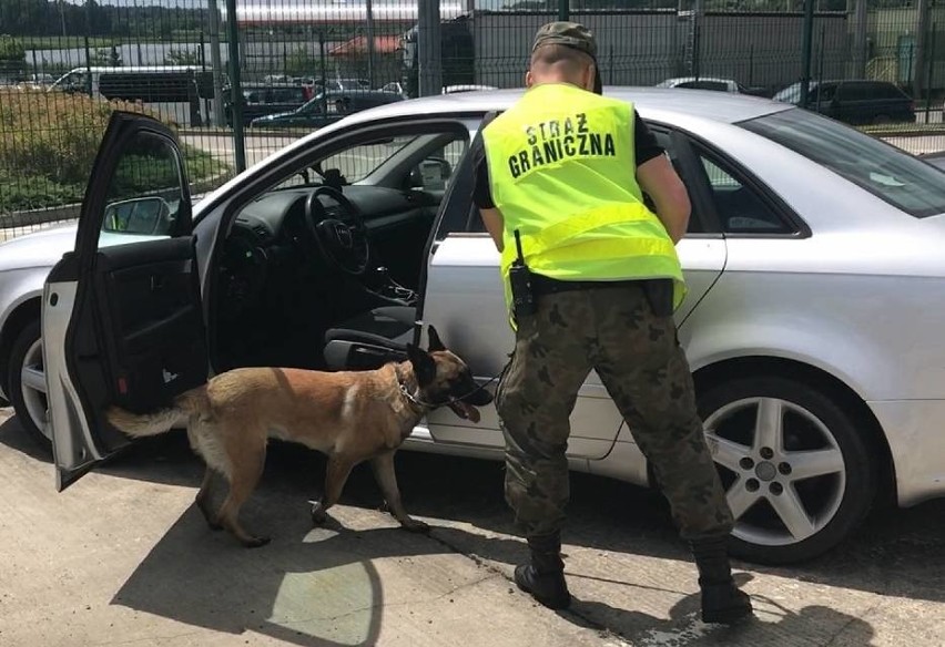 Granica w Hrebennem: Pies wywęszył w samochodzie 63 kg haszyszu  (FOTO, WIDEO)