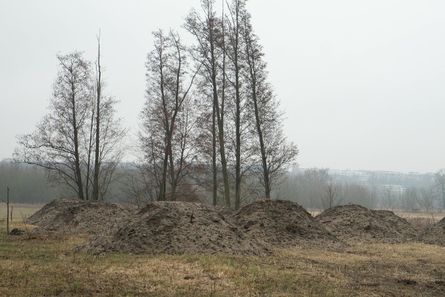 Góry wysypywanej za starym rudackim cmentarzem ziemi widać już na zdjęciach lotniczych z 2021 roku. Cały czas jednak pojawiają się nowe.