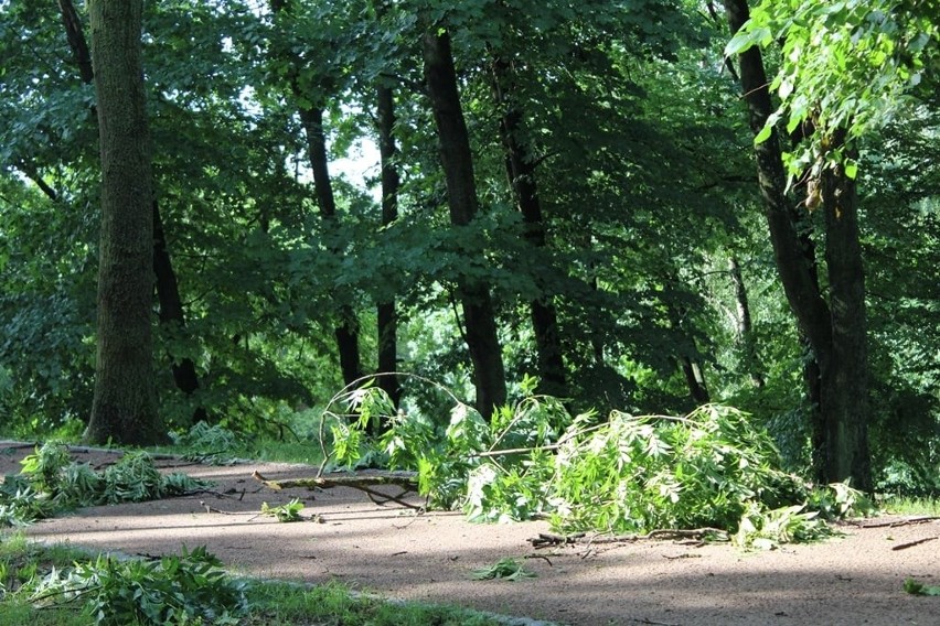 Strażacy z powiatu wąbrzeskiego wyjeżdżali w nocy z 14 na 15...