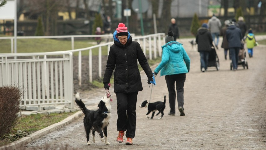 Wielka Partynicka – o złotą podkowę