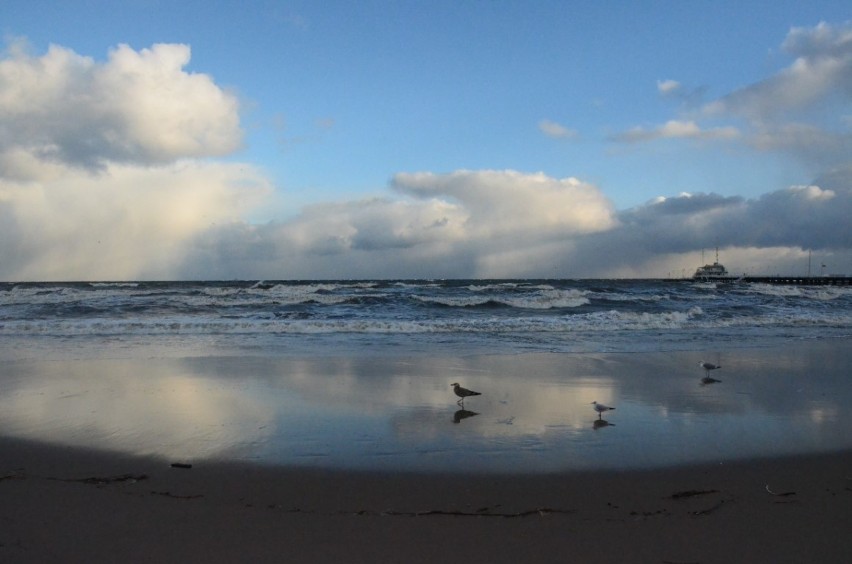 Spacer po sopockiej plaży. Zima na Pomorzu. Wybraliśmy się na spacer nad morze [ZDJĘCIA] 