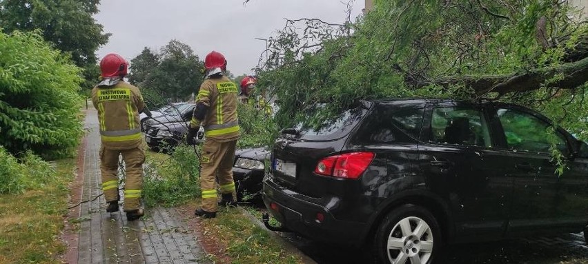 Strażacy usuwają skutki ulewy, która przeszła przez region...