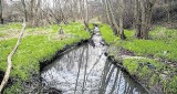 Cenne tereny w dolinie Drwinki obrastają blokowiskami