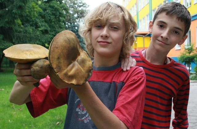 Igor Szymański (z lewej) i Marcin Pałczyński znaleźli grzyby przy szkole, w której się uczą.