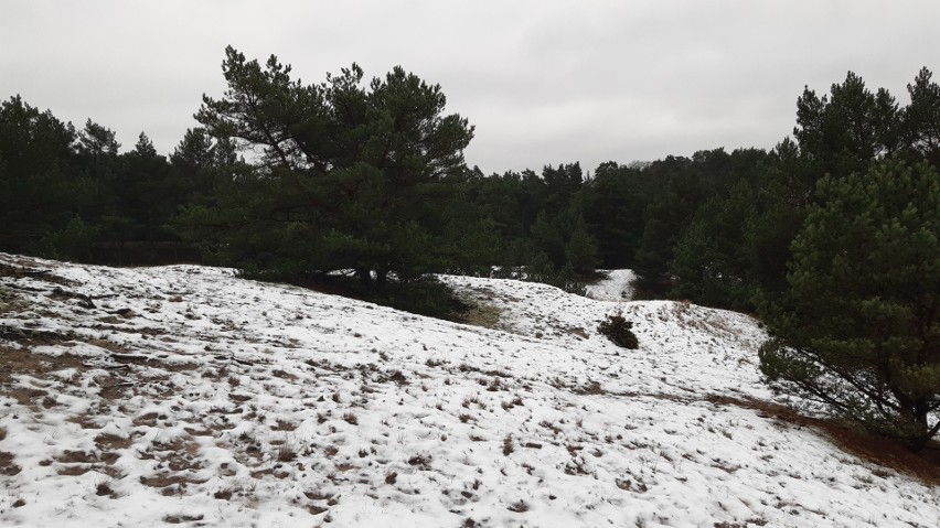Wydma Orzechowska pokryta śniegiem. Niesamowity osuwający...