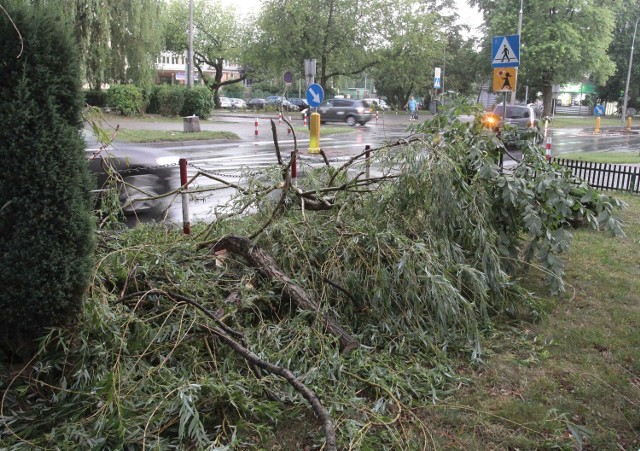 Tak wyglądała ulica Kusocińskiego w Radomiu, tuż po przejściu nawałnicy.