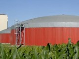 Cisza wokół biogazowni w Białogardzie. Rolnicy planują pozew zbiorowy 