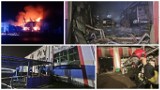 Wielki pożar firmy transportowej w Płotach. Spłonęły ciężarówki [ZDJĘCIA]