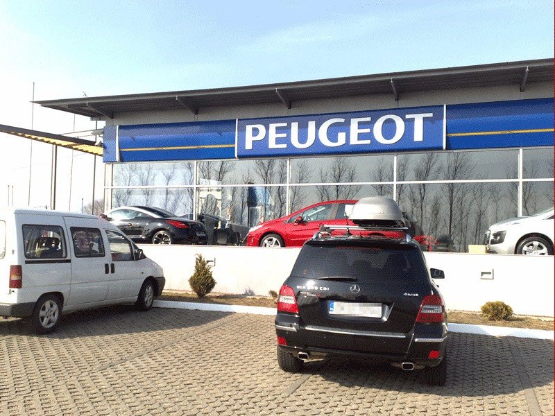 Peugeot w Koszalinie rusza po raz drugi. Salon czeka na