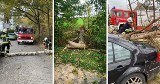 Skutki wichury na Pomorzu. 21.10.2021 r. Wiele powalonych drzew. Jedno z nich spadło na dom. 550 interwencji straży pożarnej