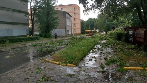 Burza w Łodzi. Nawałnica nad Łodzią. Powalone drzewa, gałęzie na drogach, zalane ulice [ZDJĘCIA]