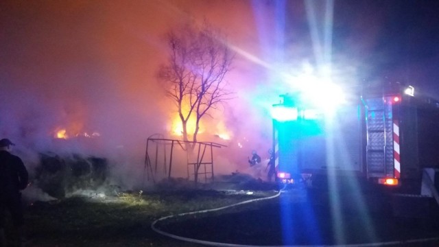 W środę, 7 listopada, o godz. 23.07 nad Skwierzyną zawyła strażacka syrena. Wzywała miejscowych strażaków-ochotników do kolejnej akcji w tym dniu. Tym razem w niewielkiej Skrzynicy płonęły drewniane zabudowania gospodarcze i 100 balotów sprasowanej słomy.Gdy na miejsce pożaru dojechała jednostka OSP ze Świniar, pożar rozprzestrzenił się na wszystkie bele słomy, a drewniane szopy uległy już spaleniu. Poza ochotnikami ze Świniar, z żywiołem walczyły dwa zastępy OSP ze Skwierzyny, ciężkie samochody z jednostek ratowniczo-gaśniczych w Międzyrzeczu i Międzychodzie, a także strażacy z OSP Trzebiszewo. Do pożaru wyjechał także oficer taktyczny z Komendy Powiatowej Państwowej Straży Pożarnej w Międzyrzeczu. Akcja trwała prawie siedem godzin. Zobacz zdjęcia z wypadków samochodowych koło SkwierzynyTo była trzecia z akcja strażaków ze Skwierzyny w tym dniu.  Wcześniej usunęli plamę oleju na ul. Piłsudskiego i Traugutta, a potem ugasili pożar traw przy ul. Sportowej. Więcej informacji z powiatu międzyrzeckiego w dzienniku „Gazeta Lubuska”.Zobacz wideo z sobotniego meczu Orła z Pogonią