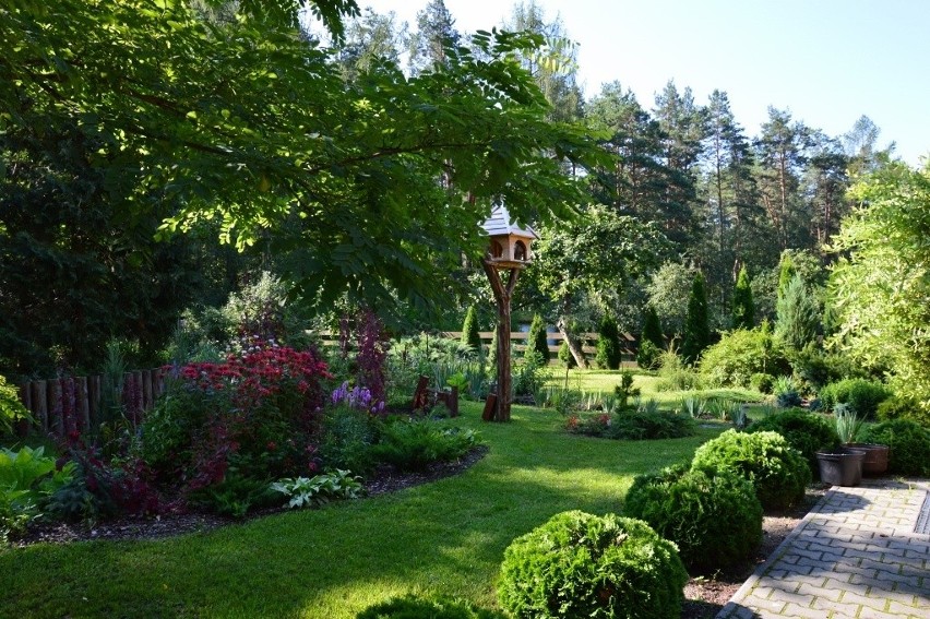 I miejsce - ogród p. Doroty Kabacik