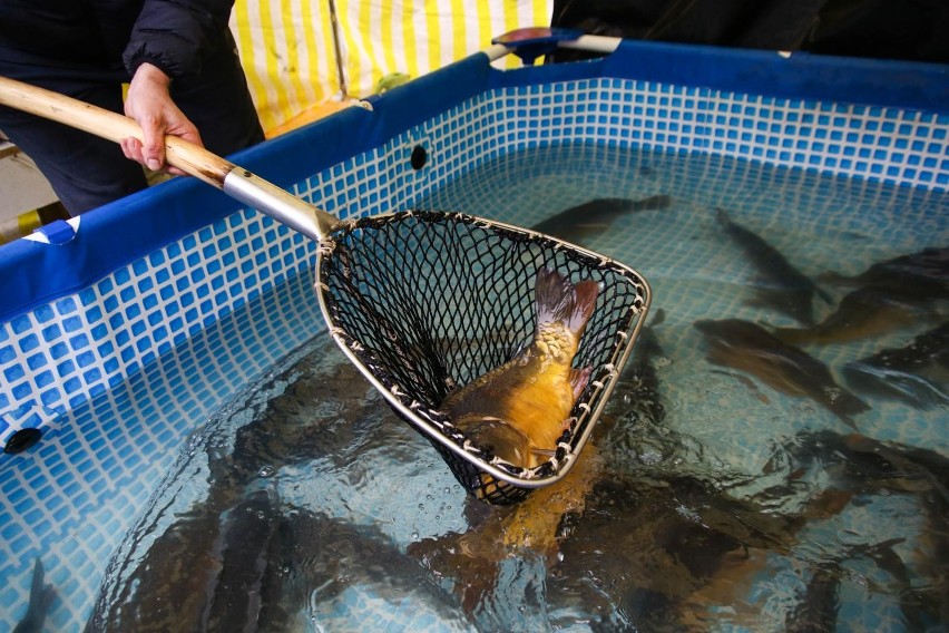 Sprzedaż żywych ryb na targach miejskich