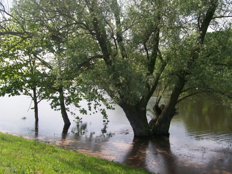 Wał pod Głuchowem - przepompownia