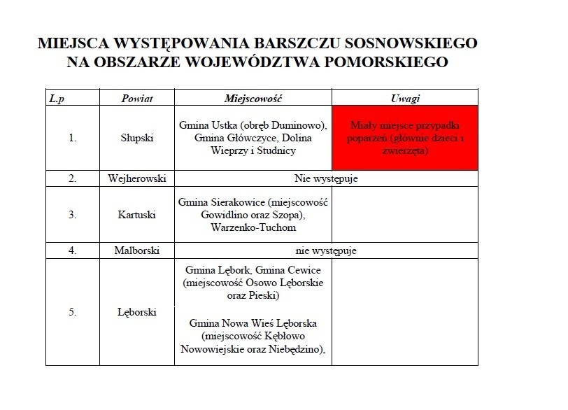 Mapa występowania barszczu Sosnowskiego w województwie pomorskim [LISTA MIEJSC, WIDEO]