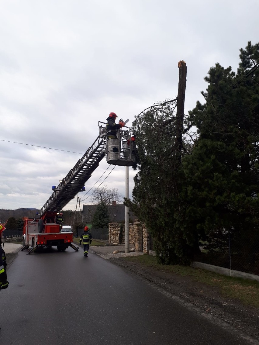 Skutki wichury w Bielsku-Białej i powiecie bielskim