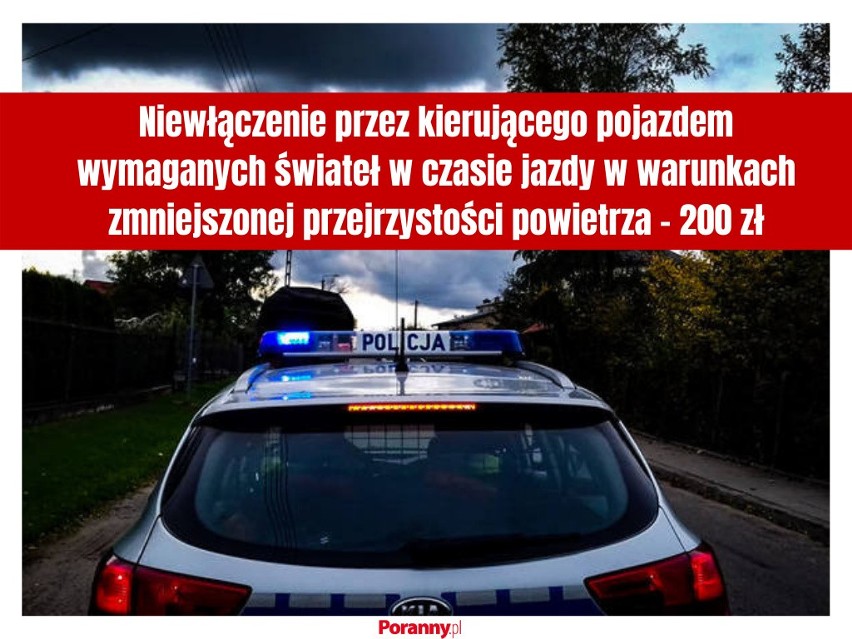 Wielka akcja policji w całej Polsce. Posypią się mandaty. Zobacz aktualny taryfikator mandatów 2019 