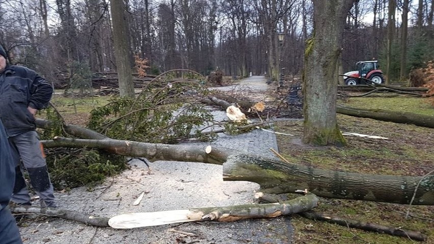 Aż 87 powalonych drzew, zniszczony jeden mostek, kilka...