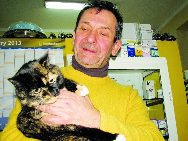 Wiedźma, kotka doktora Ślesińskiego, całymi dniami wyleguje się w lecznicy. Pamiętajmy jednak o jej bezdomnych kuzynach.