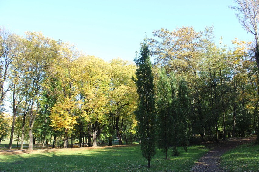 Park Kachla w Bytomiu zachwyca jesienną porą. W taką pogodę...