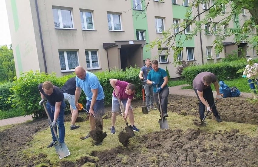 Nowe łąki kwietne pojawią się na kolejnych dwóch osiedlach w...