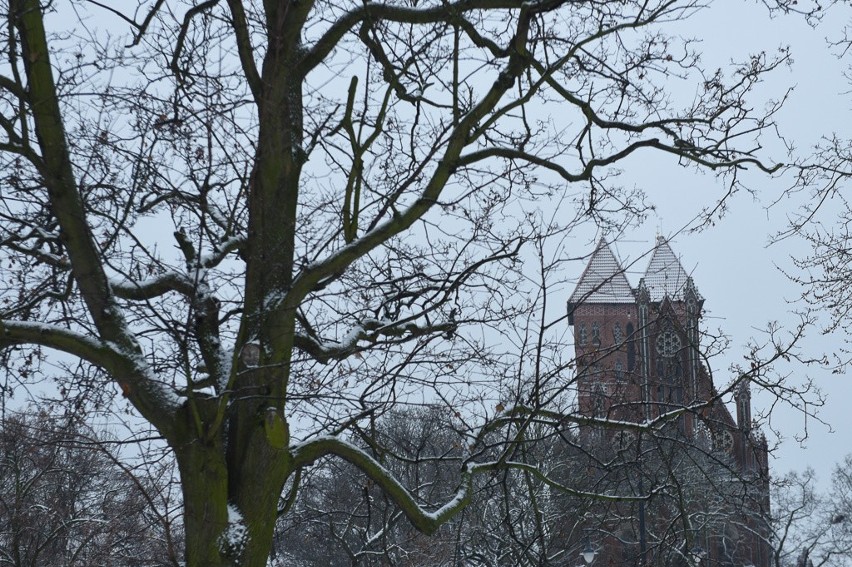Po obfitych opadach śniegu Toruń znowu pokrył biały puch. W...