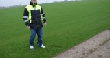 Plantacja trawy w Czarnocinie. Trawa stąd trafia na Stadion Narodowy