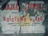 Kraków. Plakat z koncertem Majki Jeżowskiej uchował się mimo upływu lat