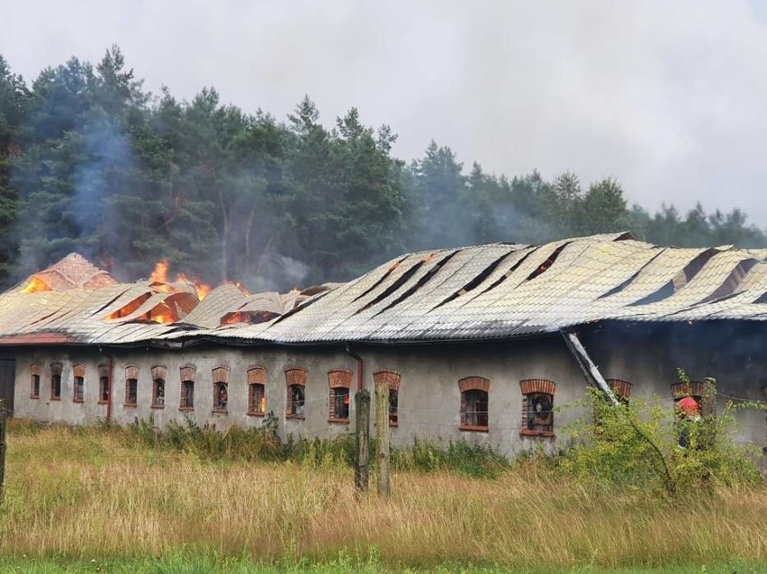 W Barnowie pożar wybuchł w budynku inwentarskim. Ewakuowano...