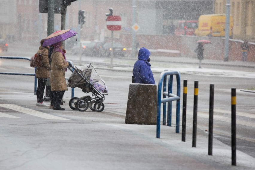 Zima w Gdańsku