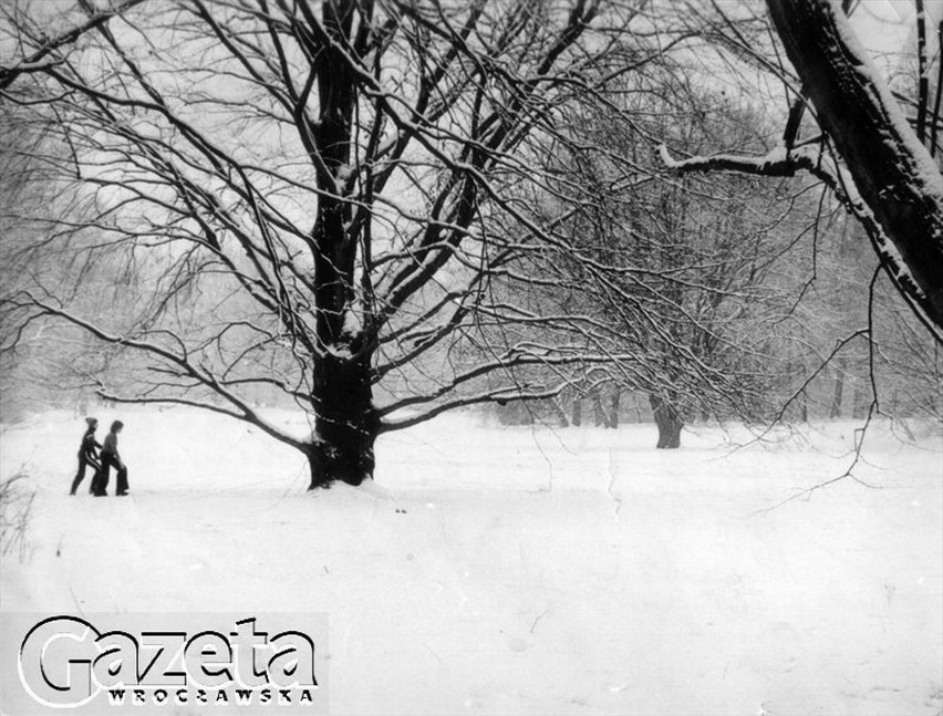 Atak zimy we Wrocławiu na przełomie 1978 i 1979 roku. Zima w...
