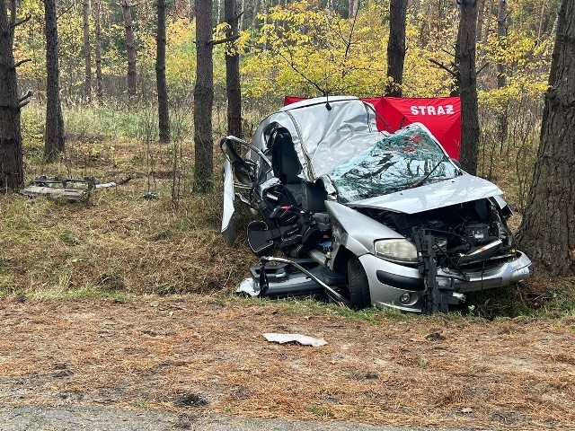 W Giedlarowej 19-latka kierująca citroenem uderzyła w drzewo. Poniosła śmierć na miejscu.