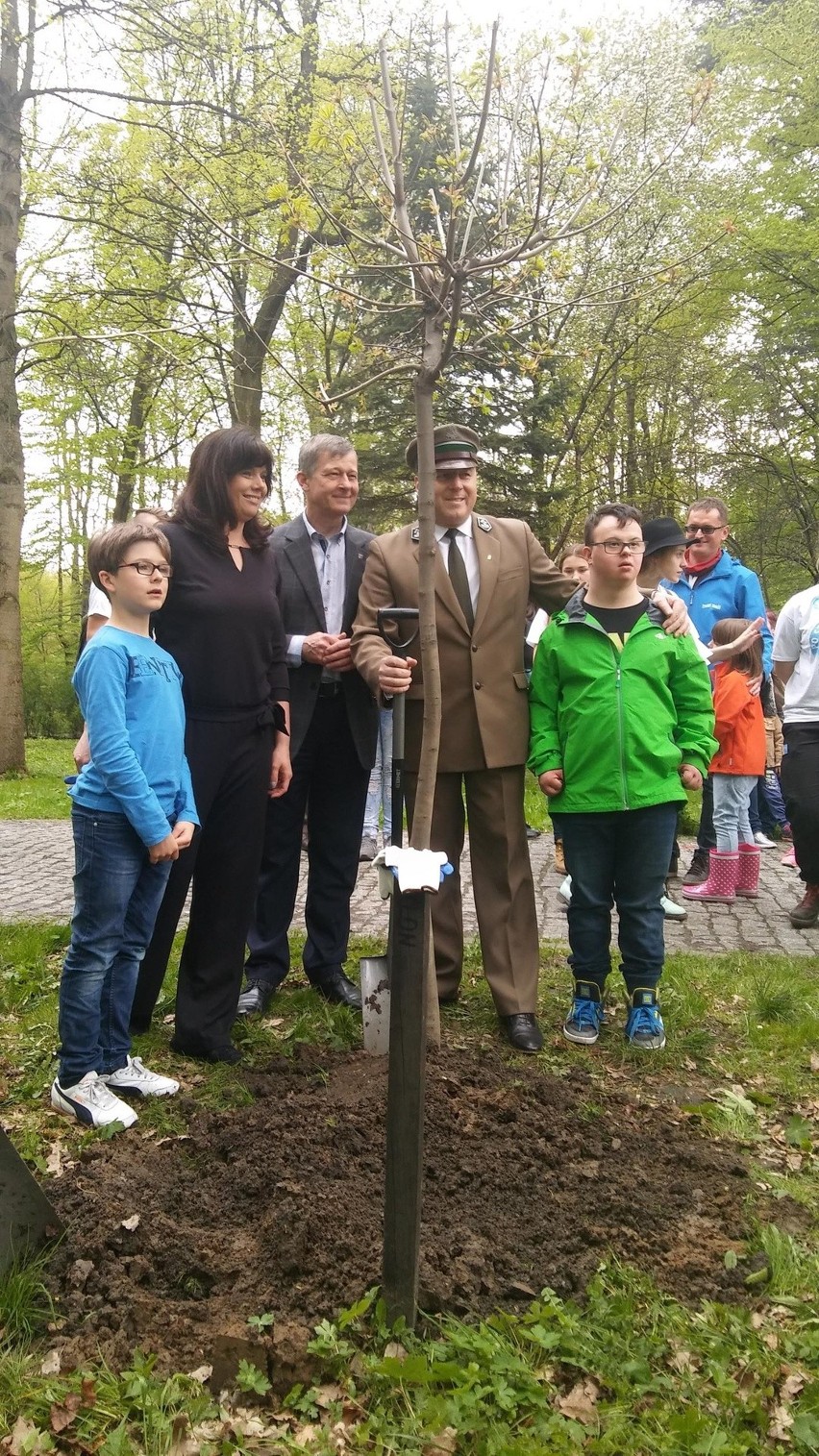 Piknik Po Stronie Natury w Żywcu. Atrakcje na rynku, a w parku sadzenie drzew ZDJĘCIA