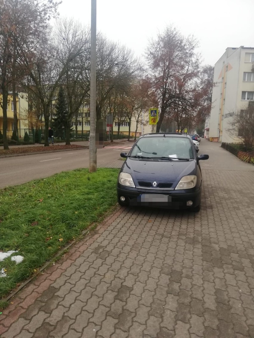 Oto przykładowe zdjęcia z interwencji strażników miejskich w...